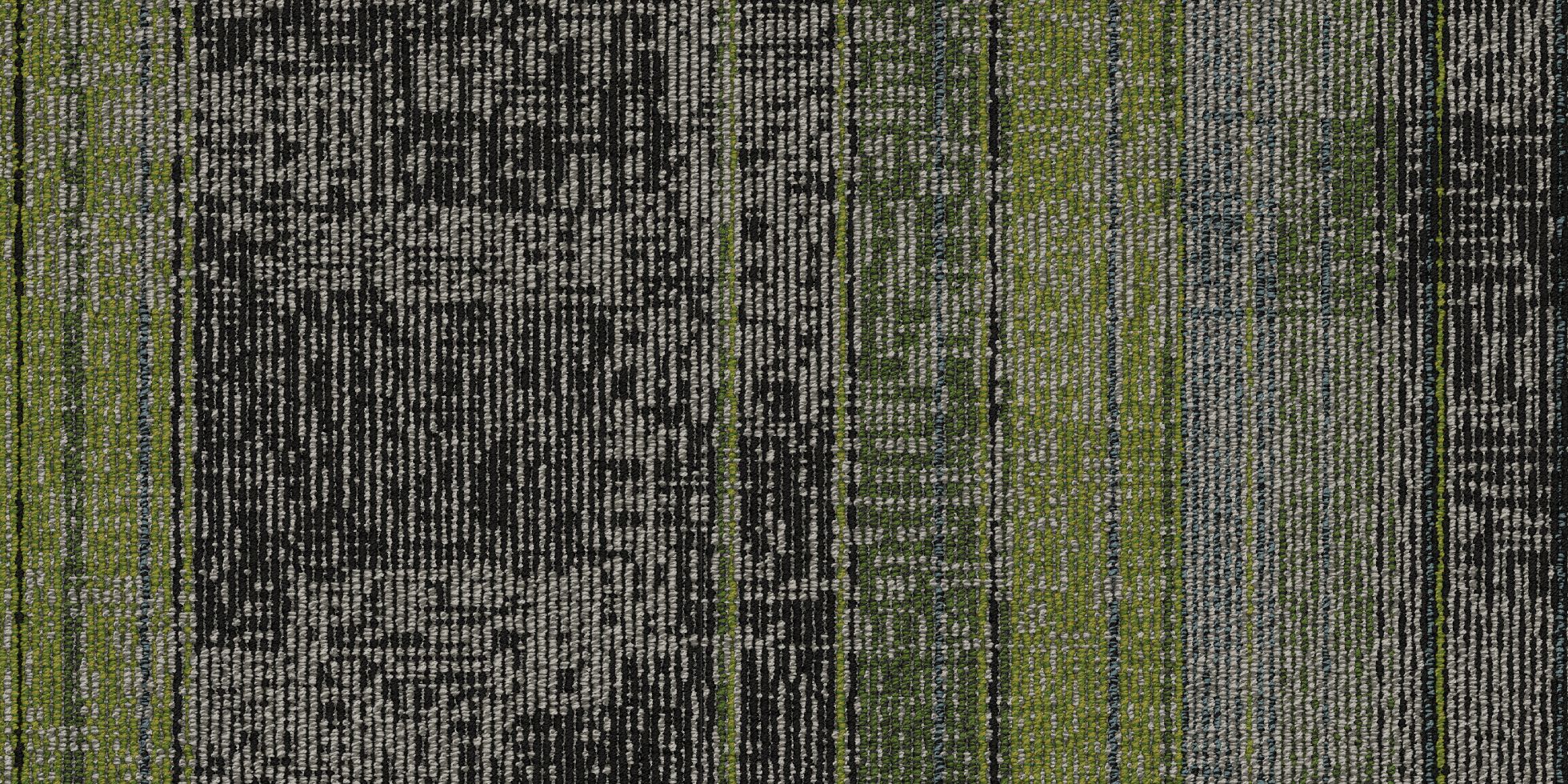 Drumline_4DMT4_Cadence_404323.i