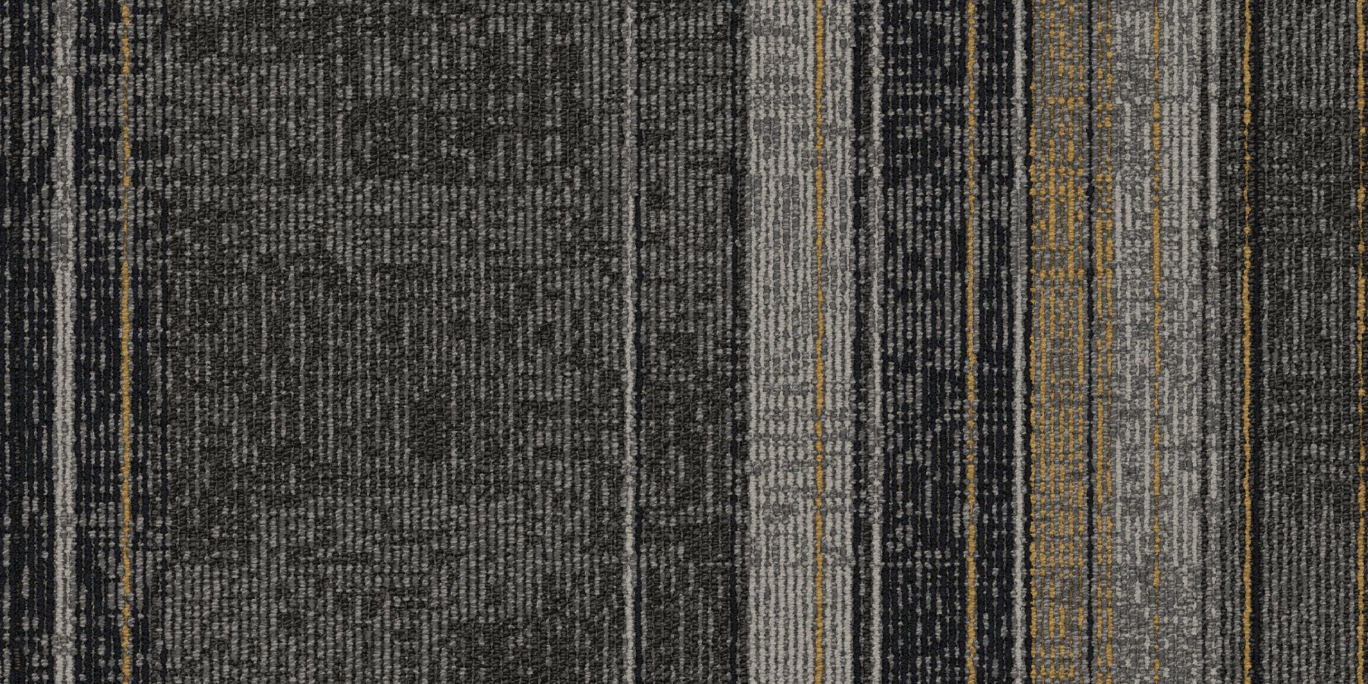 Drumline_4DMT4_Mascot_404325.if